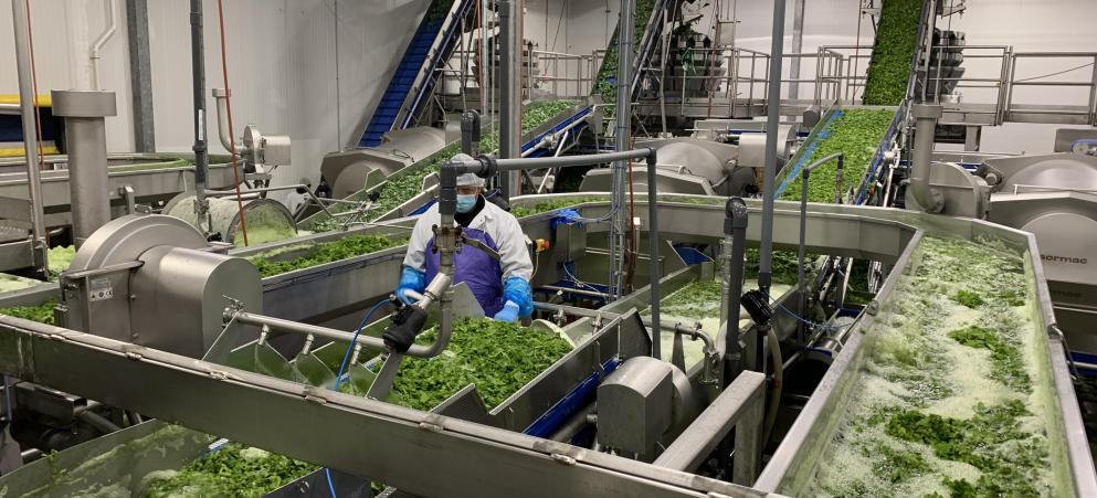 Fresh Pak - Verenigde Staten