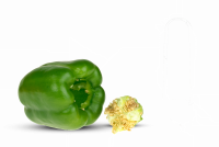 shutterstock_56494321-bell-pepper-vrijstaand.png