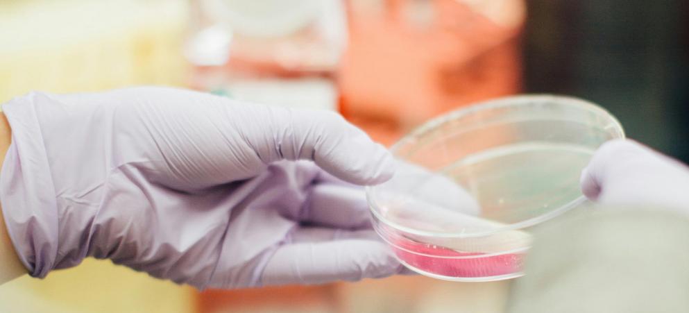 Veelbelovende resultaten met UV-C desinfectie